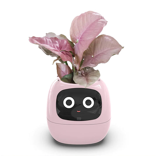 Vaso Smart Ivy