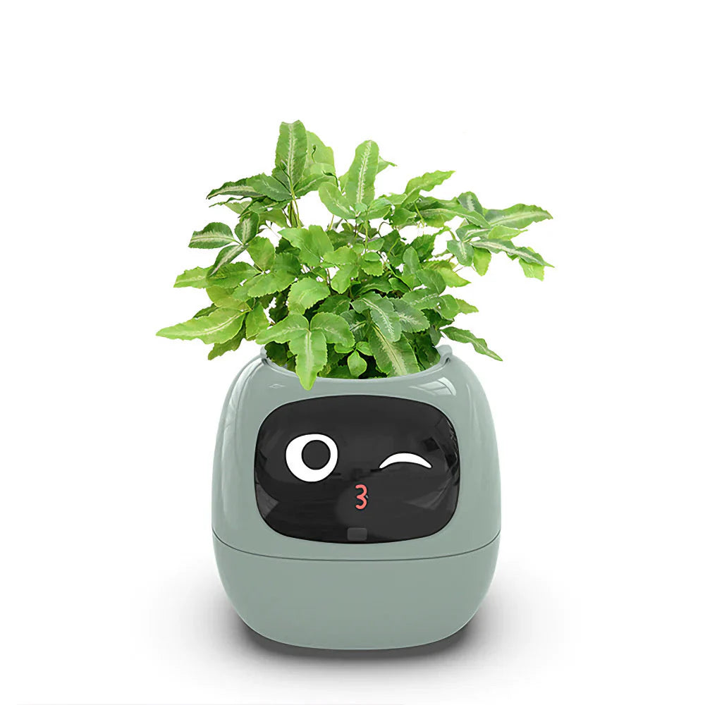 Vaso Smart Ivy