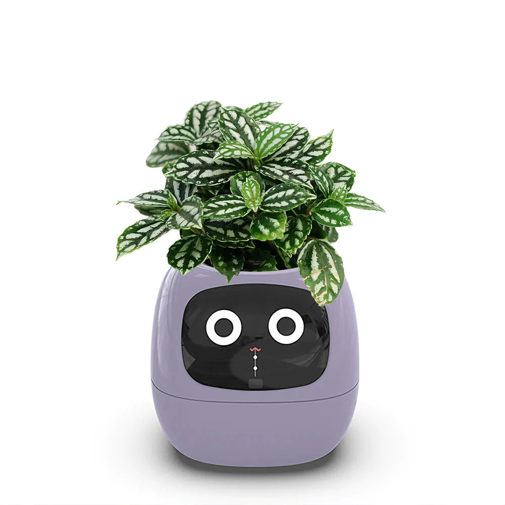 Vaso Smart Ivy