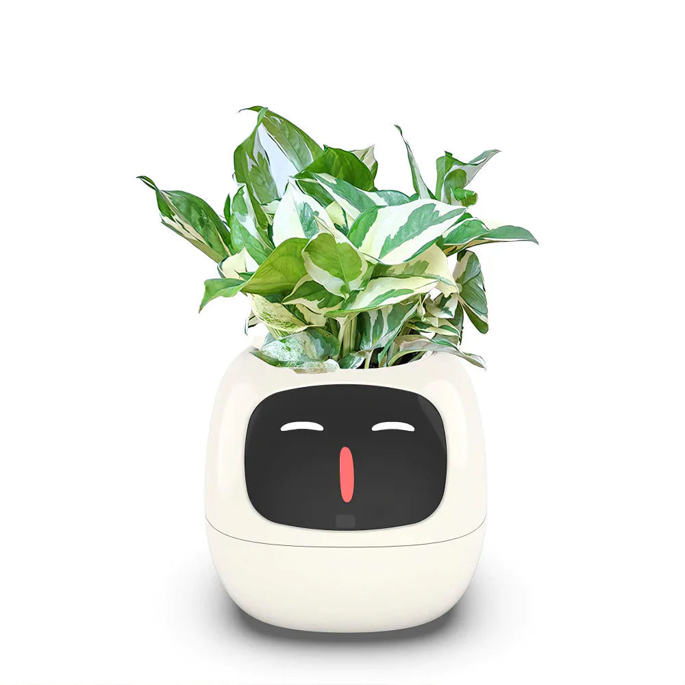 Vaso Smart Ivy