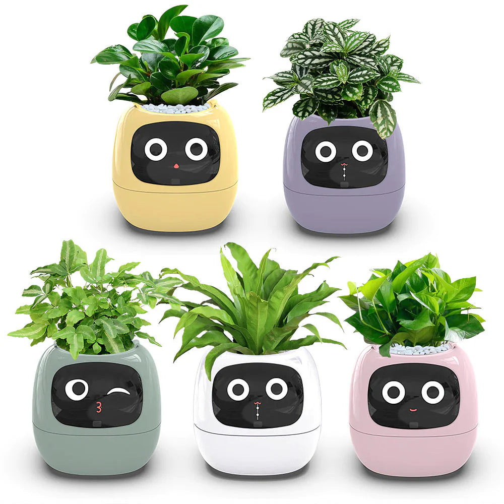 Vaso Smart Ivy